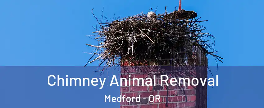 Chimney Animal Removal Medford - OR