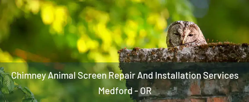  Chimney Animal Screen Repair And Installation Services Medford - OR
