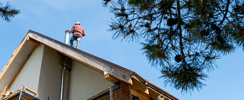 Birds Removal Contractors from Chimney in Medford, OR
